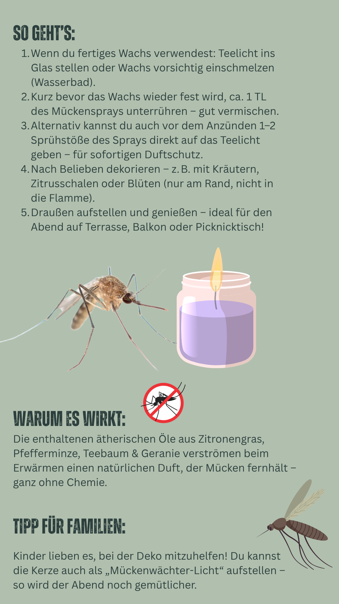 Mückenschutz-Spray mit ätherischen Ölen – Natürlicher Insektenschutz