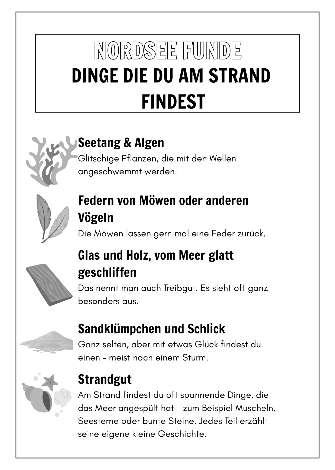 Entdecke die Nordsee – Mit Malspaß, Rätseln & Wissen: Ein kreatives Beschäftigungsbuch