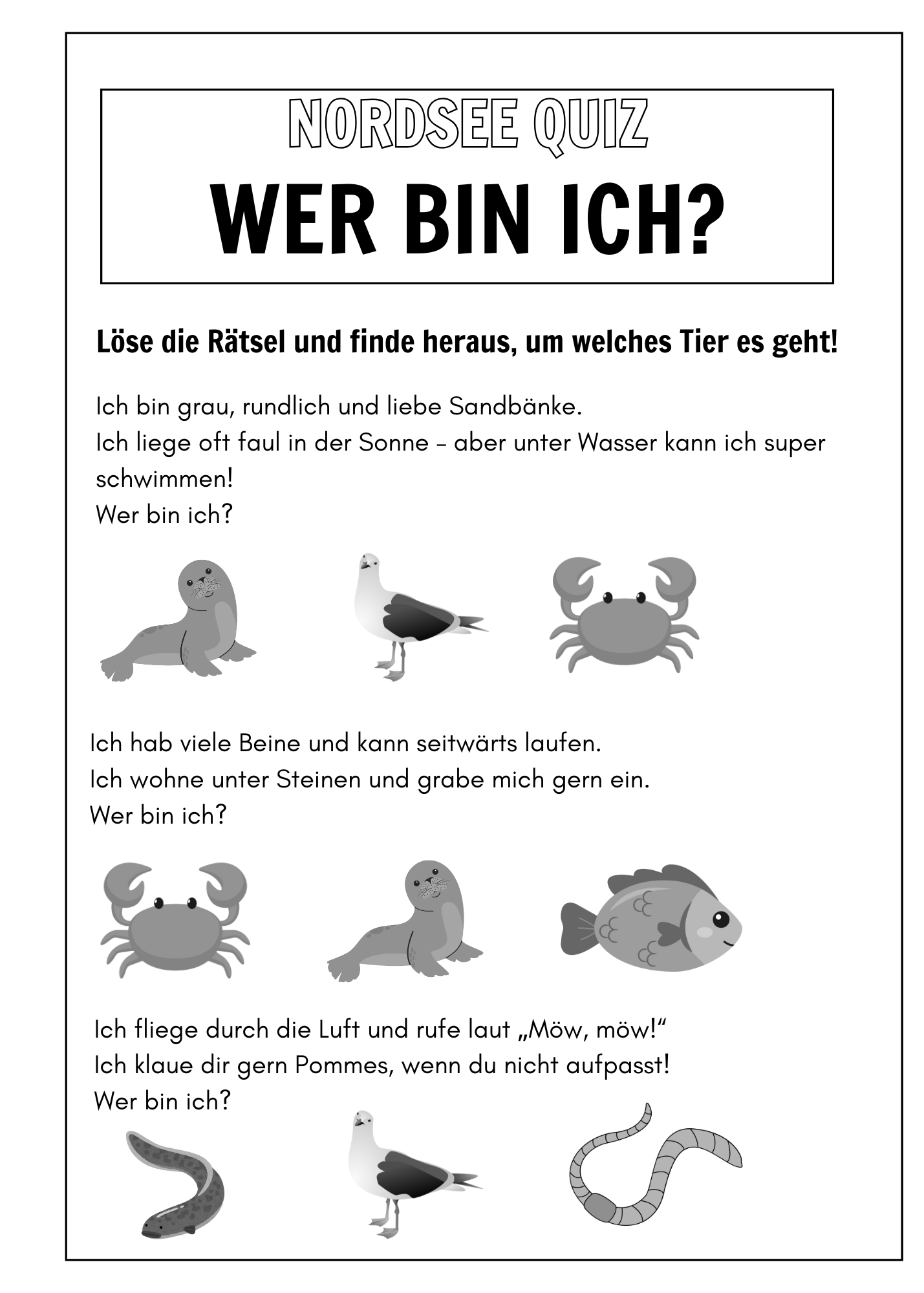 Entdecke die Nordsee – Mit Malspaß, Rätseln & Wissen: Ein kreatives Beschäftigungsbuch