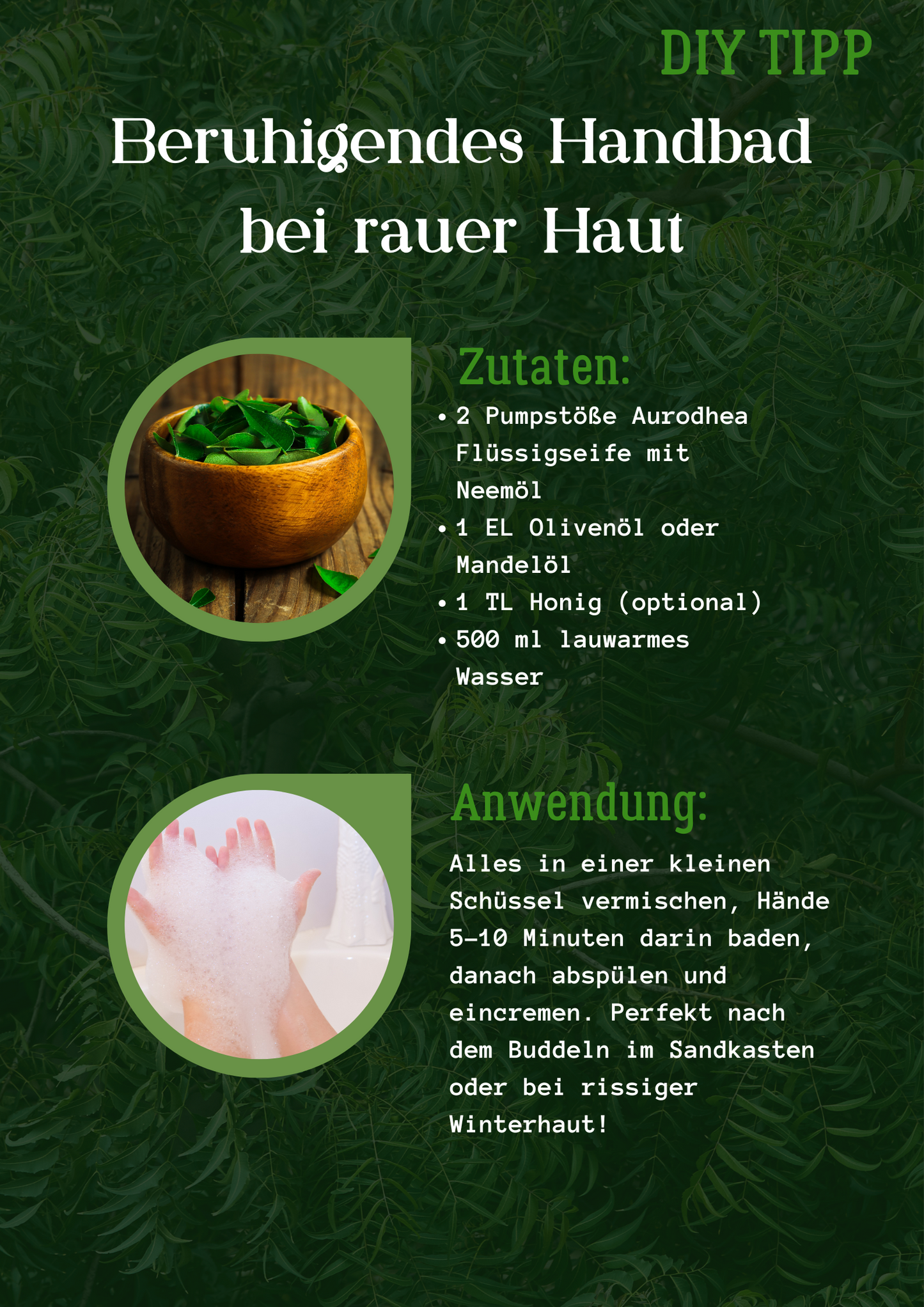 Flüssigseife mit Neemöl – Sanfte Pflege für sensible Haut (260 ml)